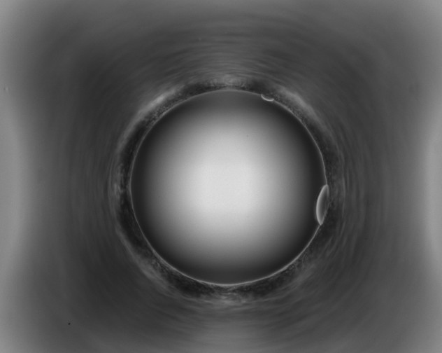 X0000086780736200704201824