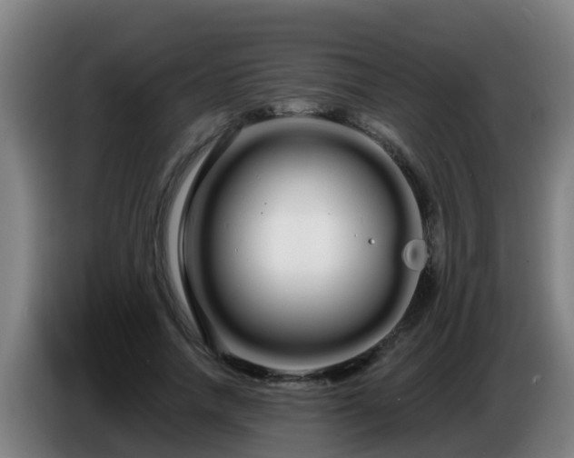 X0000086780738200704201824