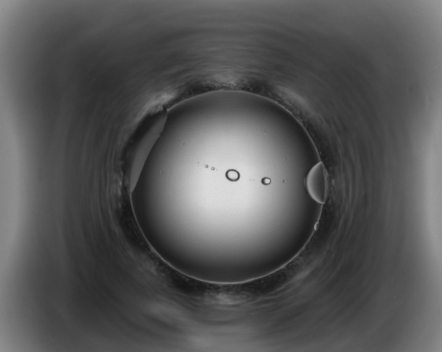 X0000086780739200704201824