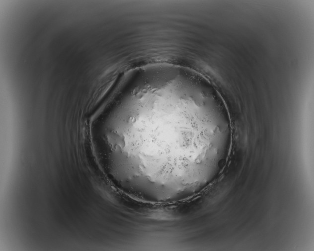 X0000086780741200704201824