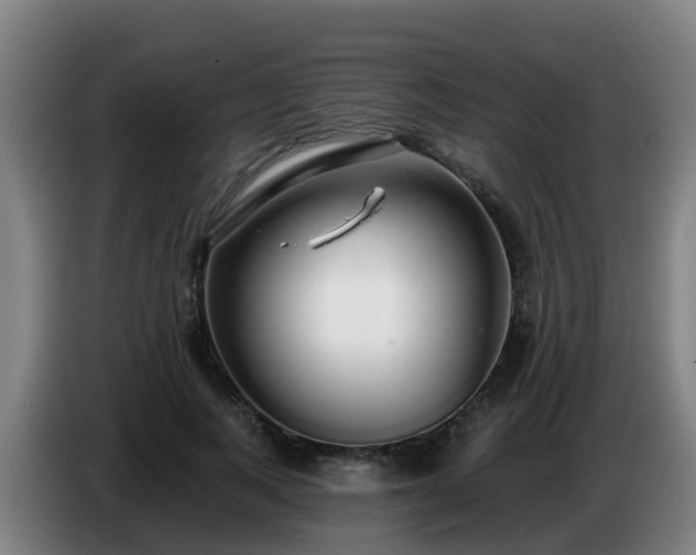 X0000086780743200704201824