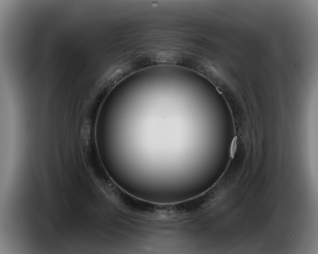 X0000086780744200704201824