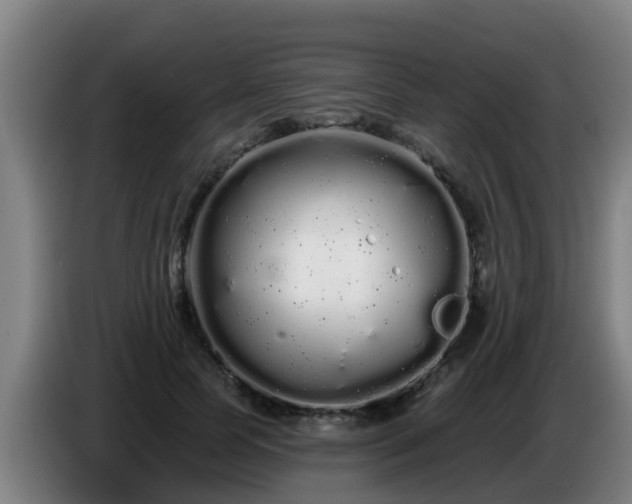 X0000086780745200704201824