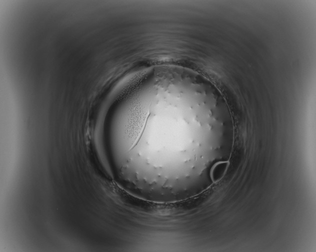 X0000086780746200704201824