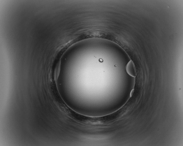 X0000086780747200704201824