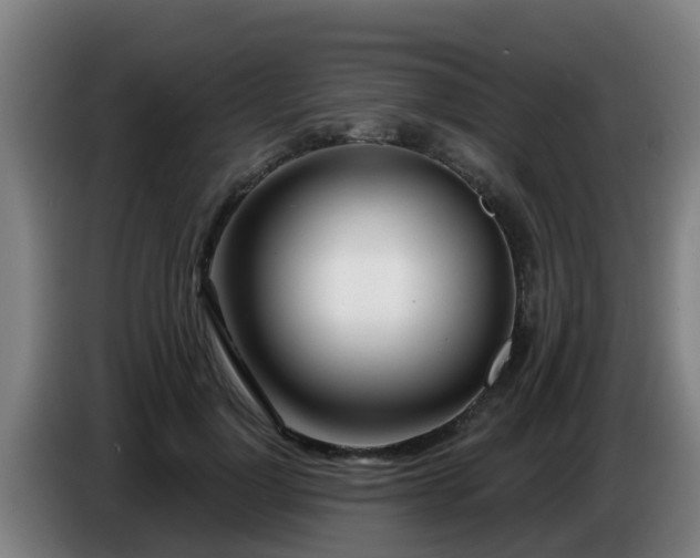 X0000086780748200704201824