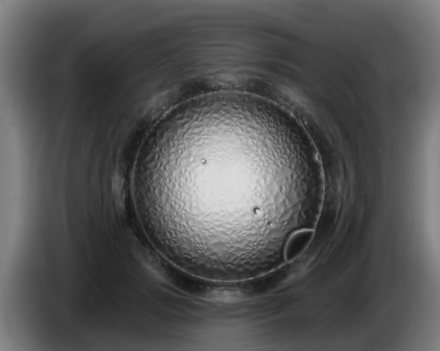 X0000086780749200704201824