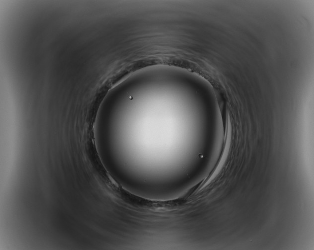 X0000086780750200704201824