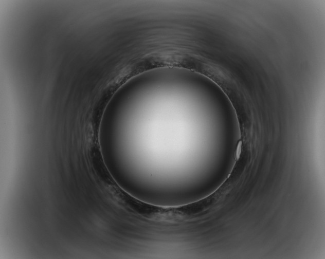 X0000086780752200704201824