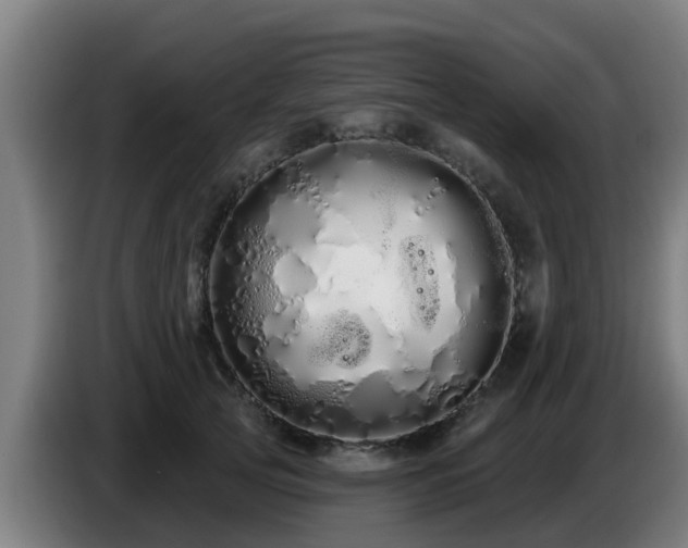 X0000086780753200704201824