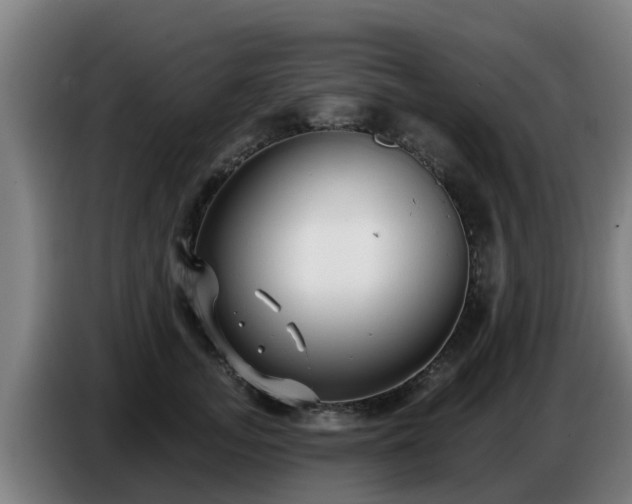 X0000086780755200704201824