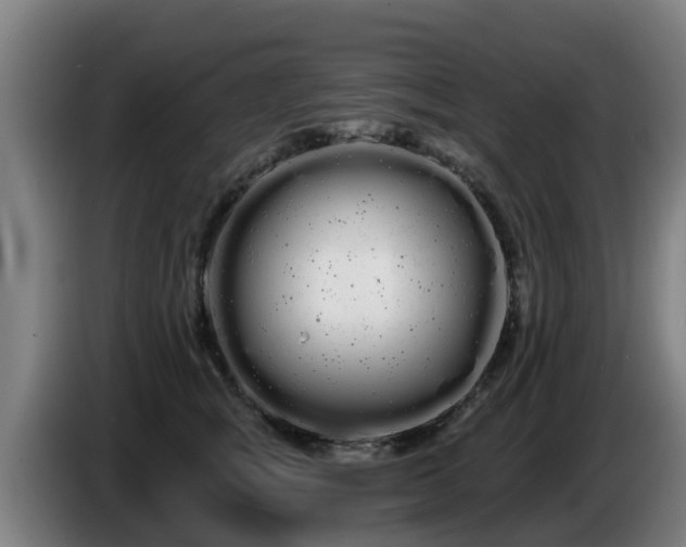 X0000086780757200704201824