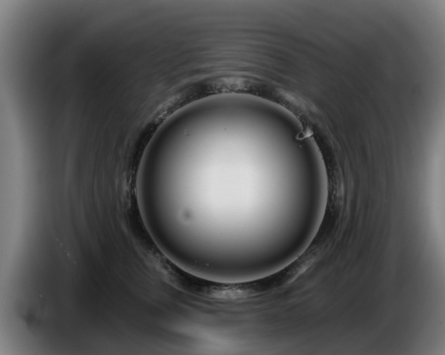 X0000086780759200704201824