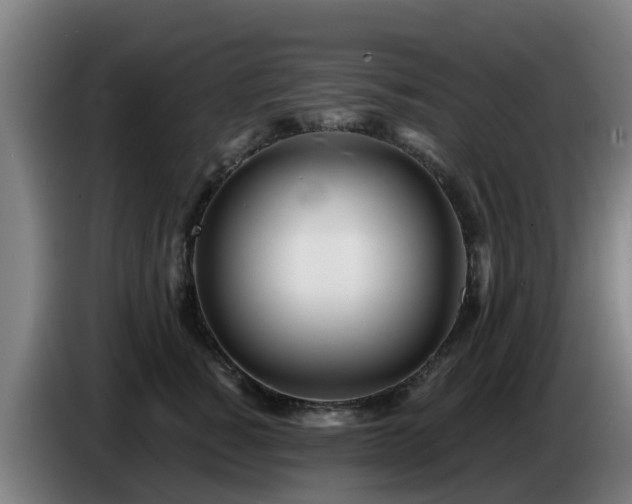 X0000086780760200704201824