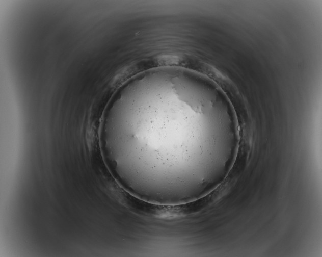 X0000086780761200704201824