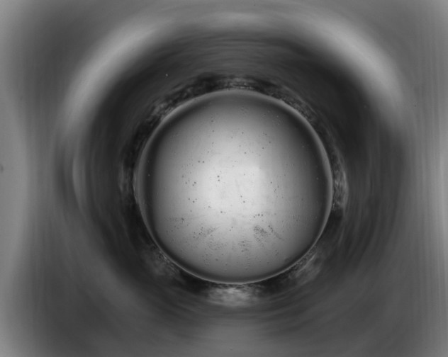 X0000086780765200704201824