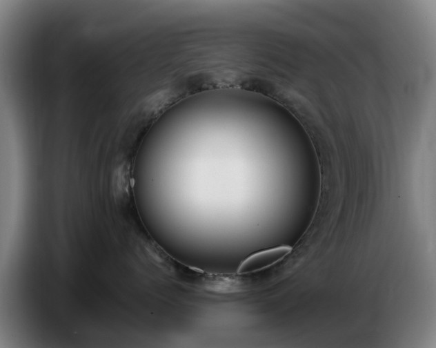 X0000086780768200704201824