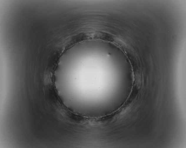 X0000086780770200704201823