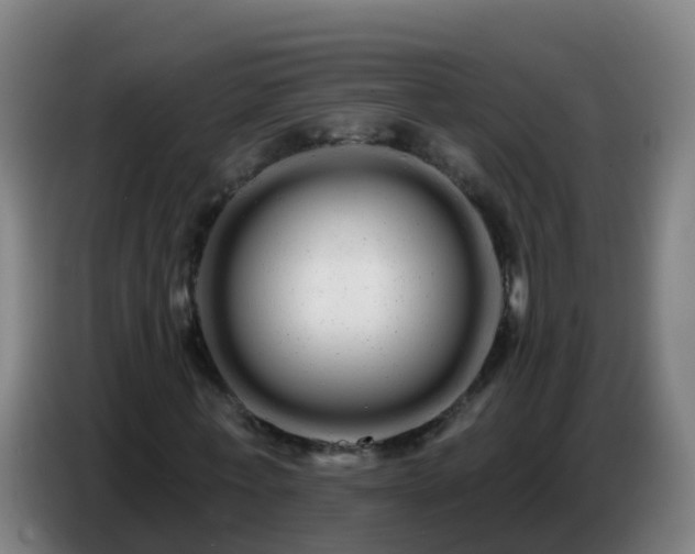 X0000086780771200704201823