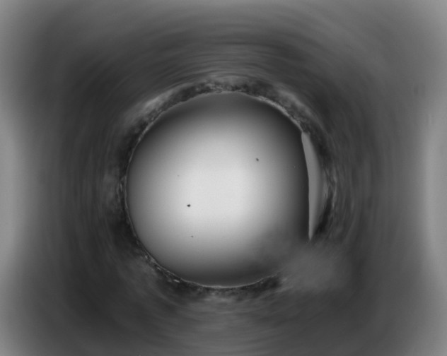 X0000086780773200704201823