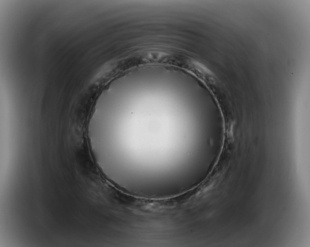 X0000086780774200704201823