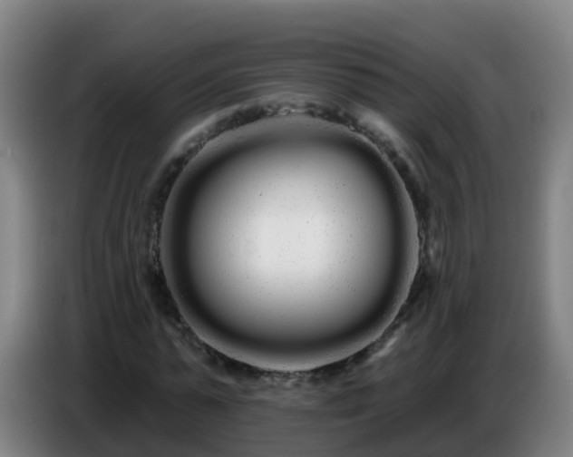 X0000086780775200704201823