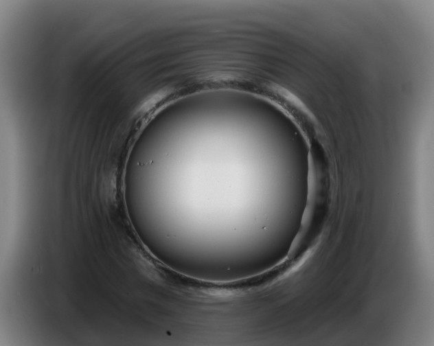 X0000086780777200704201823