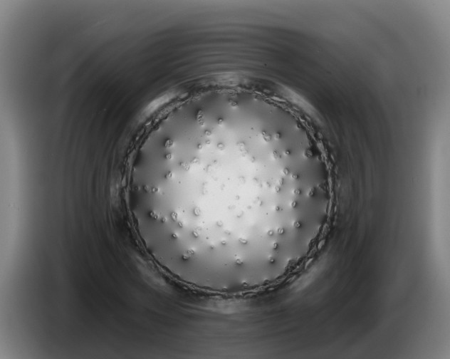 X0000086780778200704201823