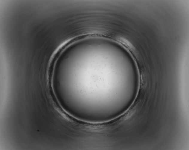 X0000086780780200704201823