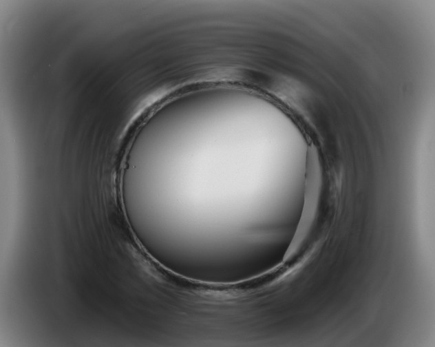 X0000086780781200704201823