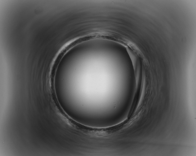 X0000086780784200704201823