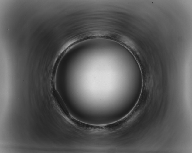 X0000086780786200704201823