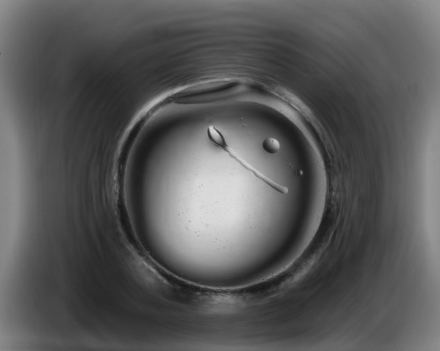 X0000086780787200704201823