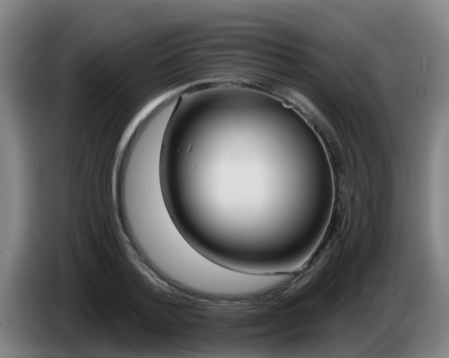 X0000086780788200704201823