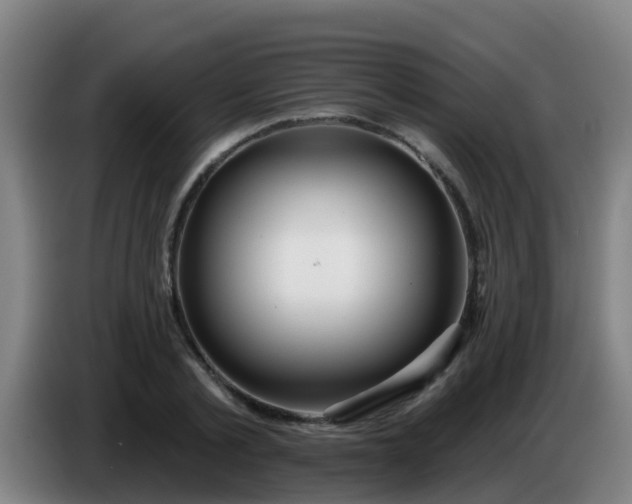 X0000086780789200704201823