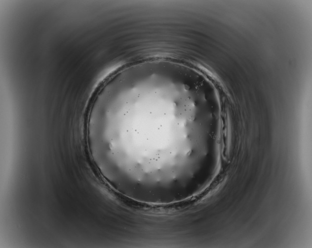 X0000086780790200704201823