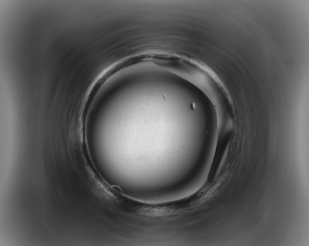 X0000086780791200704201823