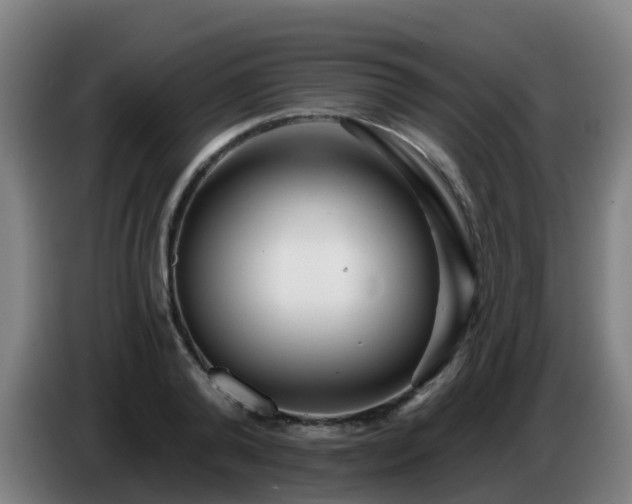 X0000086780792200704201823