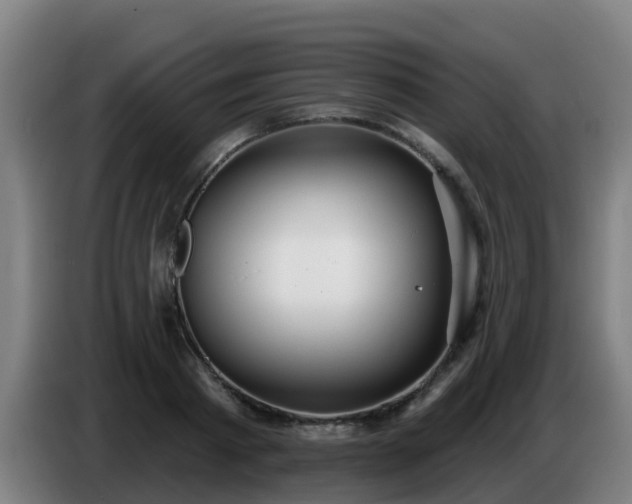 X0000086780793200704201823