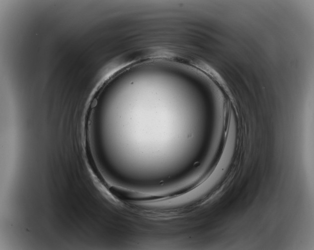 X0000086780795200704201823