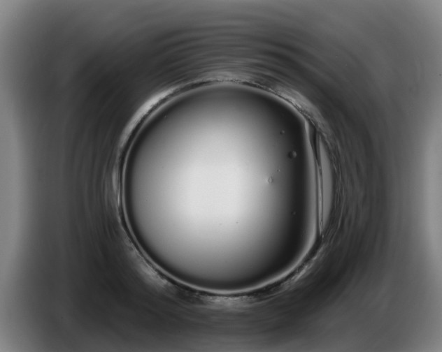 X0000086780796200704201823