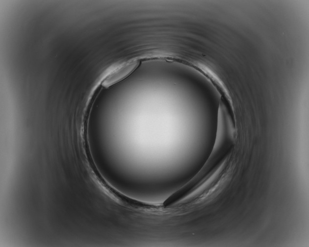 X0000086780797200704201823