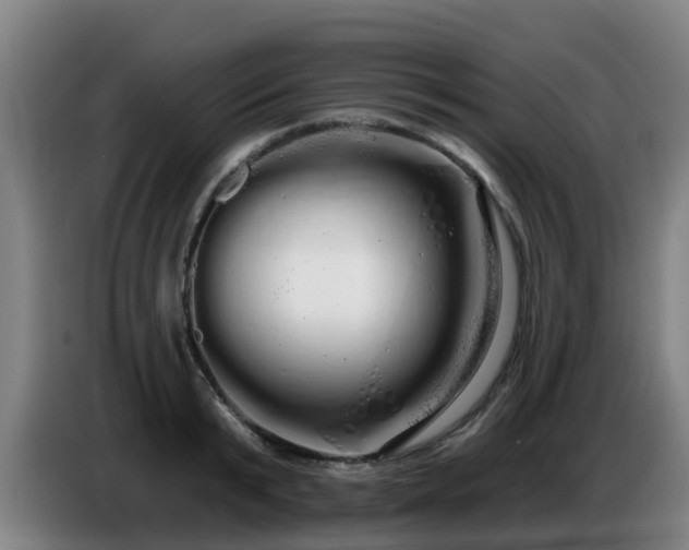 X0000086780799200704201823