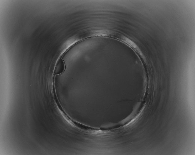 X0000086780802200704201823