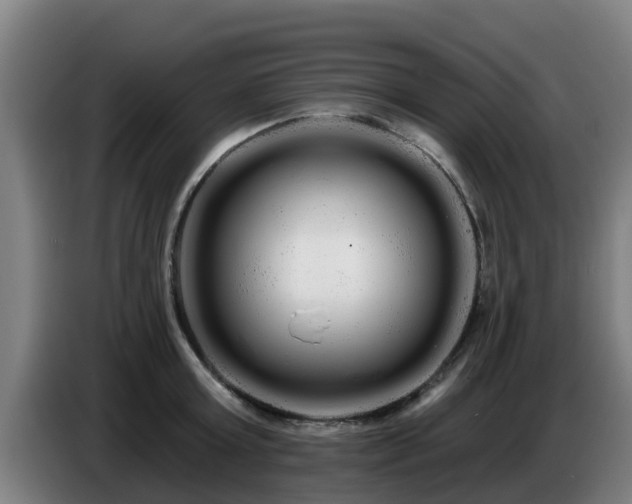 X0000086780803200704201823