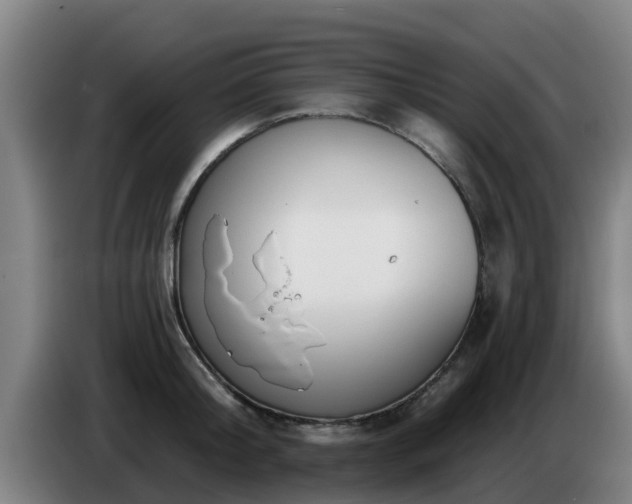 X0000086780804200704201823