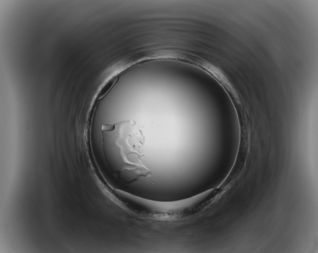 X0000086780805200704201823