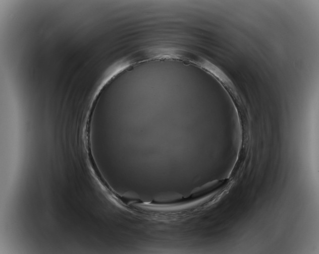 X0000086780806200704201823