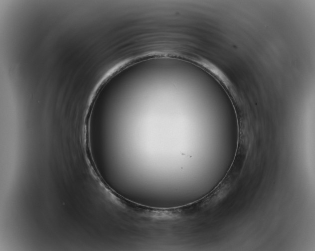 X0000086780807200704201823