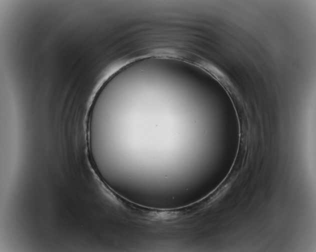 X0000086780808200704201823